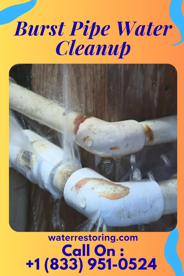 Burst Pipe Water Cleanup in Pennock, MN